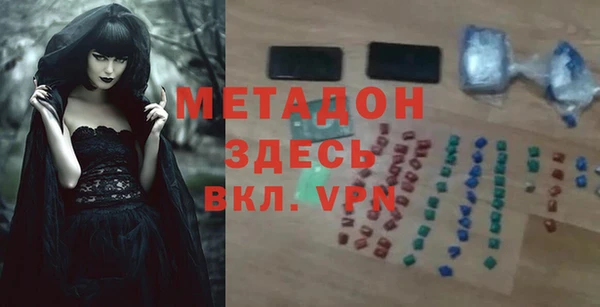 молекула духа Вяземский