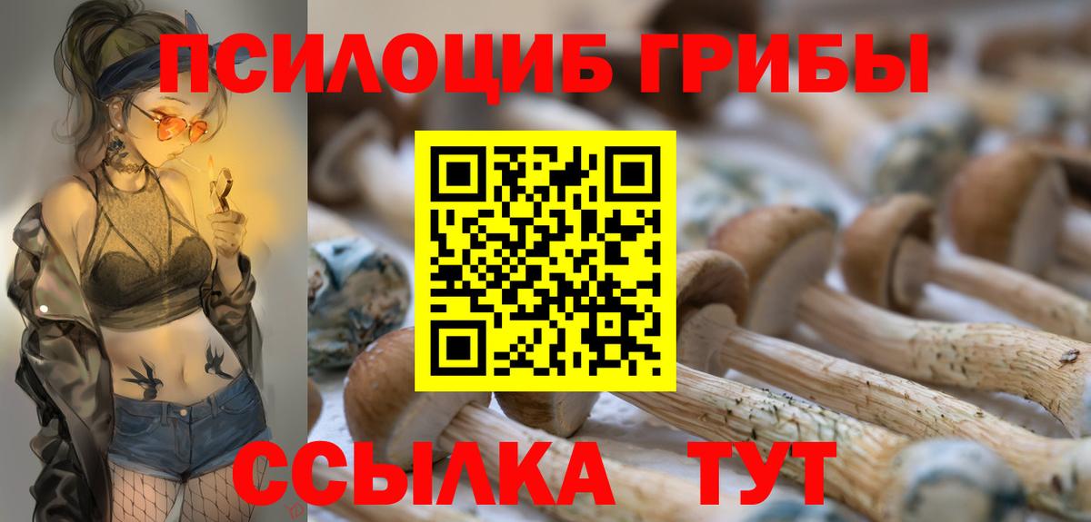 Псилоцибиновые грибы Cubensis Заринск
