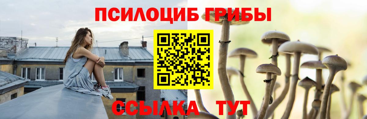 Заринск  купить закладку  Вход с VPN  Галлюциногенные грибы мухоморы 
